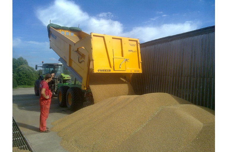 Grains