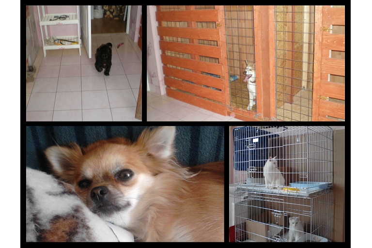 Keeping animals in Rezekne