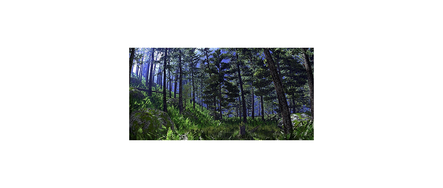 Profesionāli mežizstrādes pakalpojumi visā Latvijā