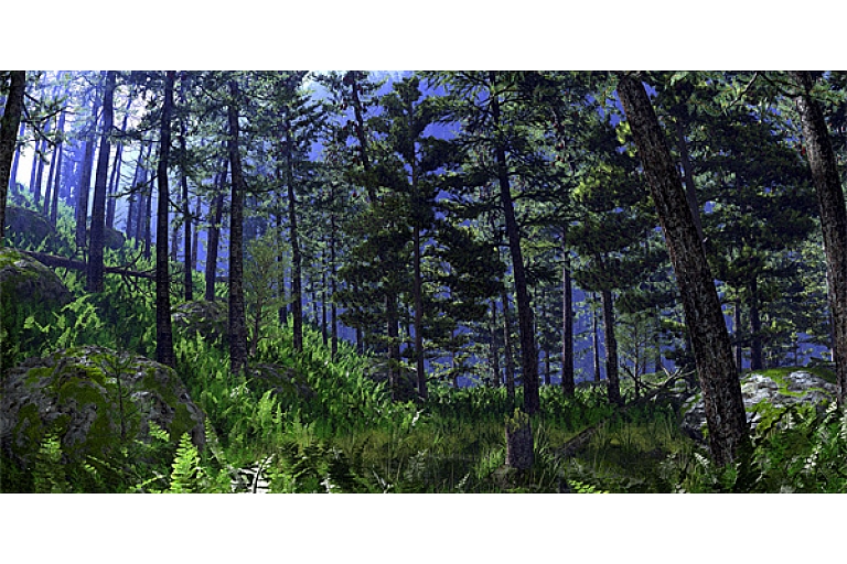 Logging services