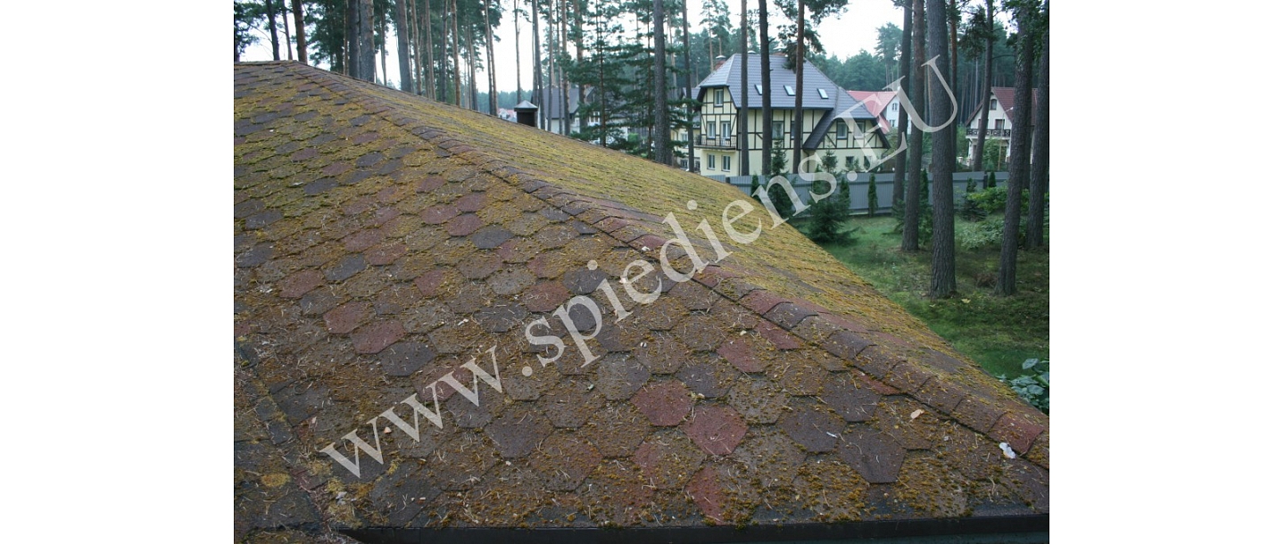 Mossy roof - dirty. Roof cleaning.
