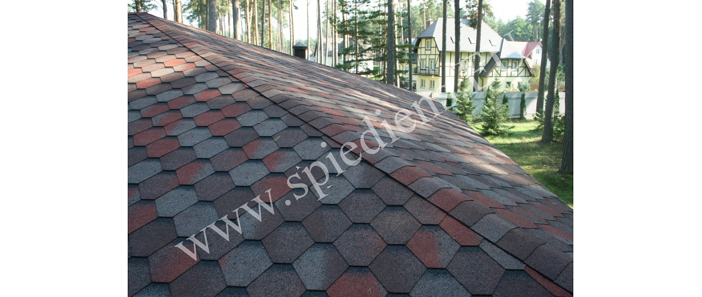 Mossy roof - clean. Building, industrial buildings, pipeline cleaning