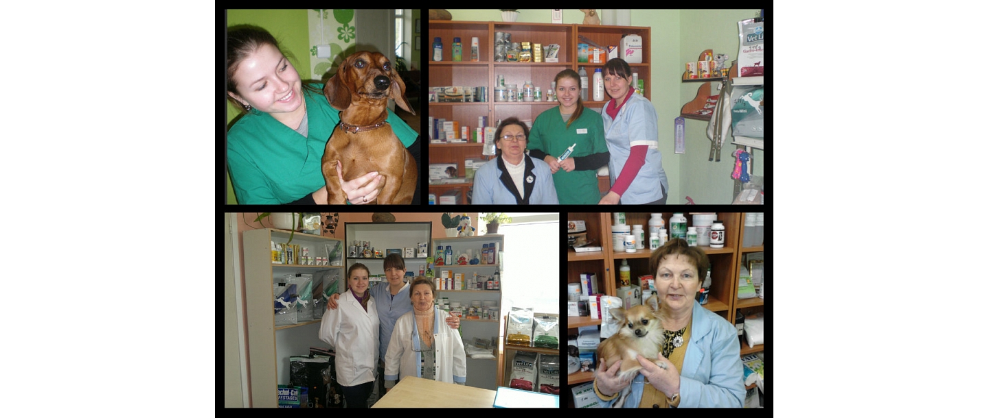 Professional veterinarians in Rezekne