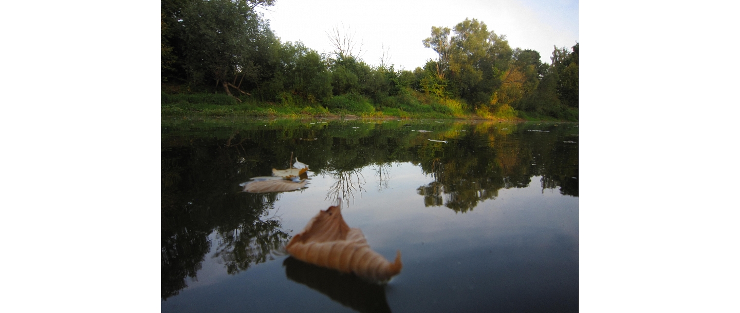 Aiviekste Lubāna leisure