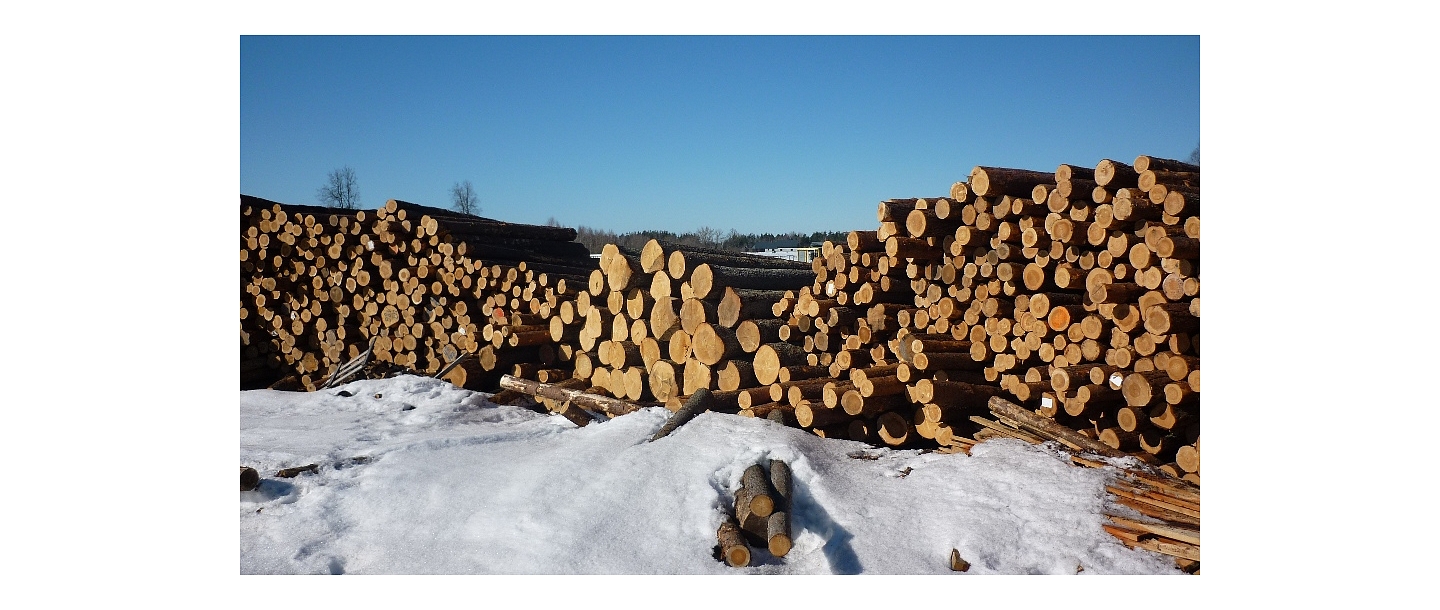 Пиловочники