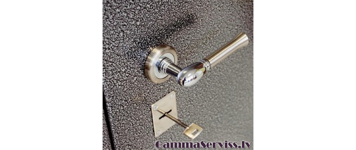 metal door powder painting