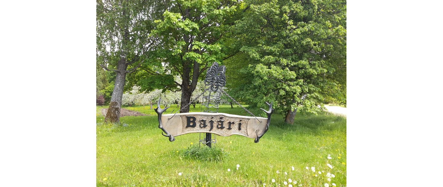 Bajāri, гостевой дом в Руцаве 