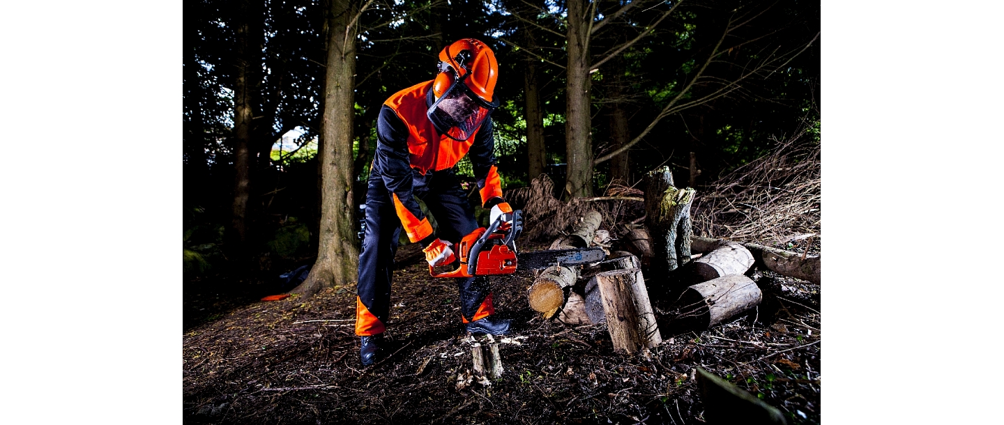 Рабочая форма