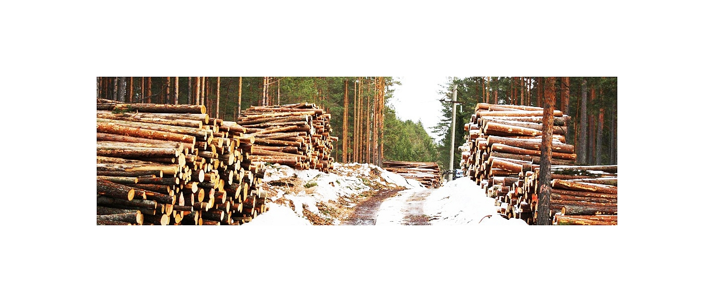 Mežsaimniecība un mežizstrāde