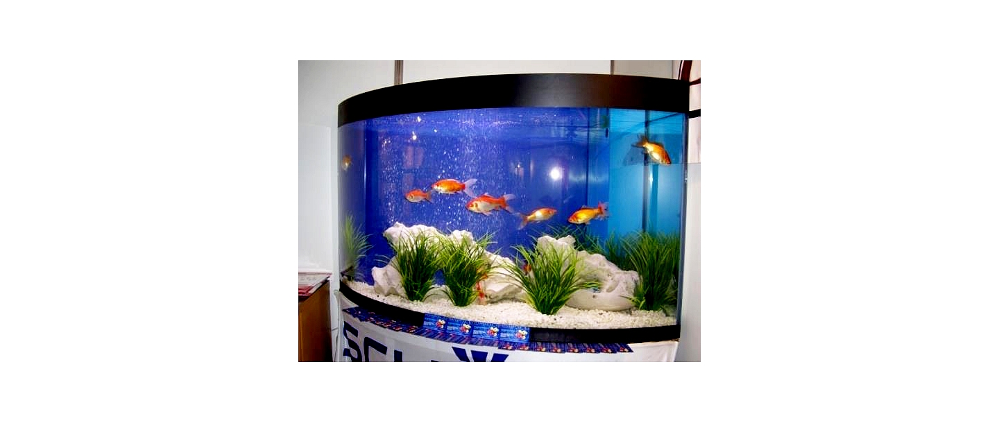 Aquariums