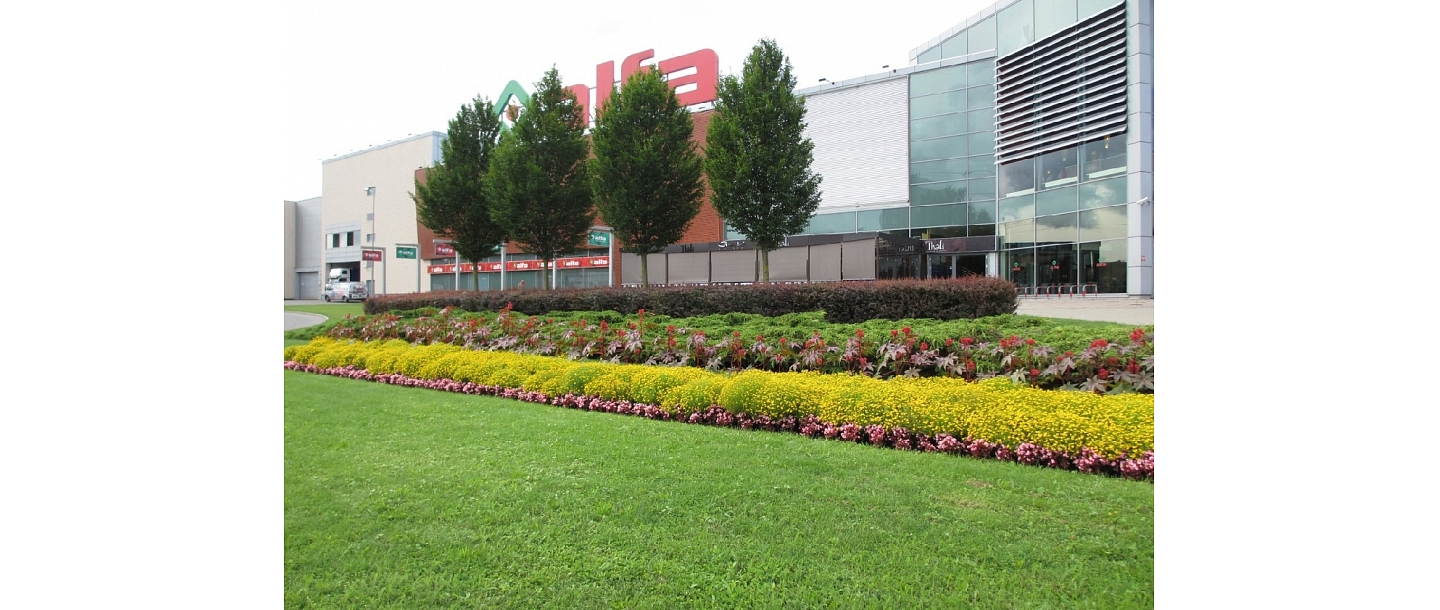 Garden landscaping