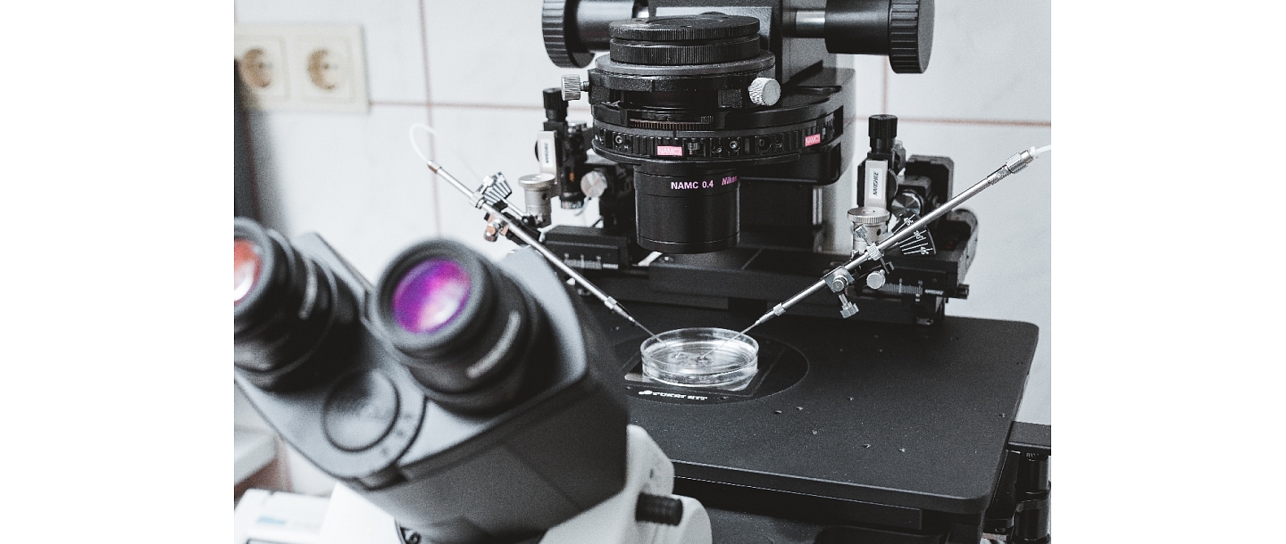 Laboratorija