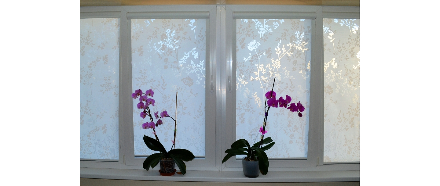 Roller cassette blinds