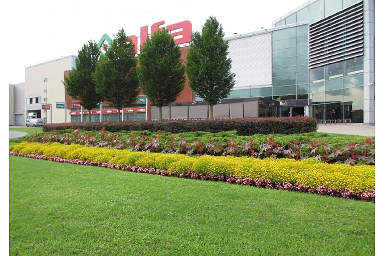 Garden landscaping