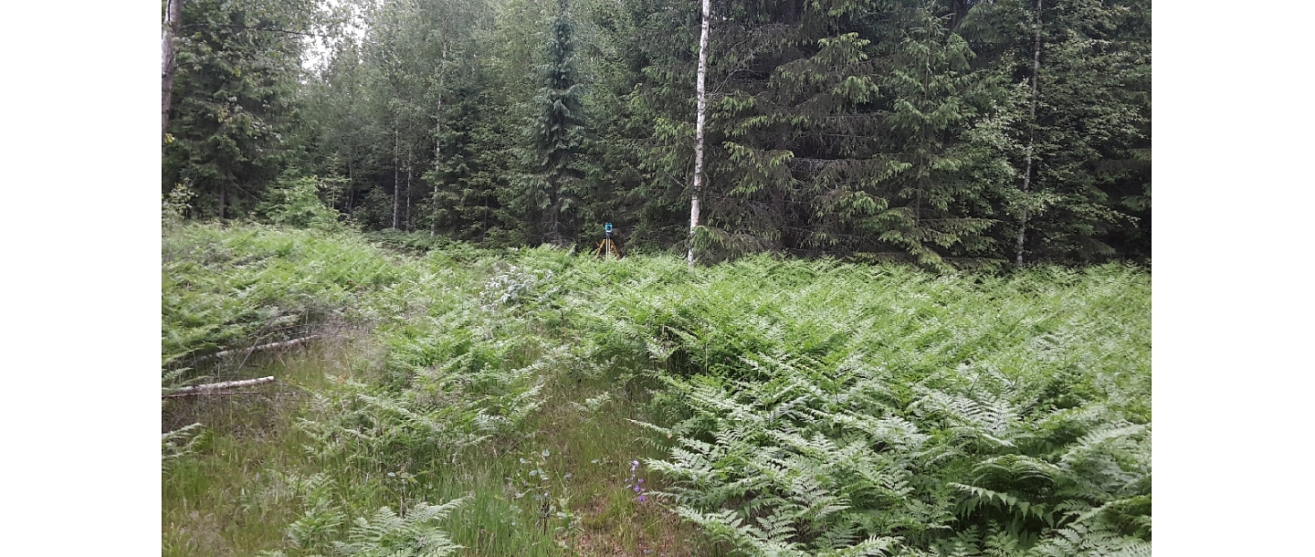 Topogrāfijas pakalpojumi