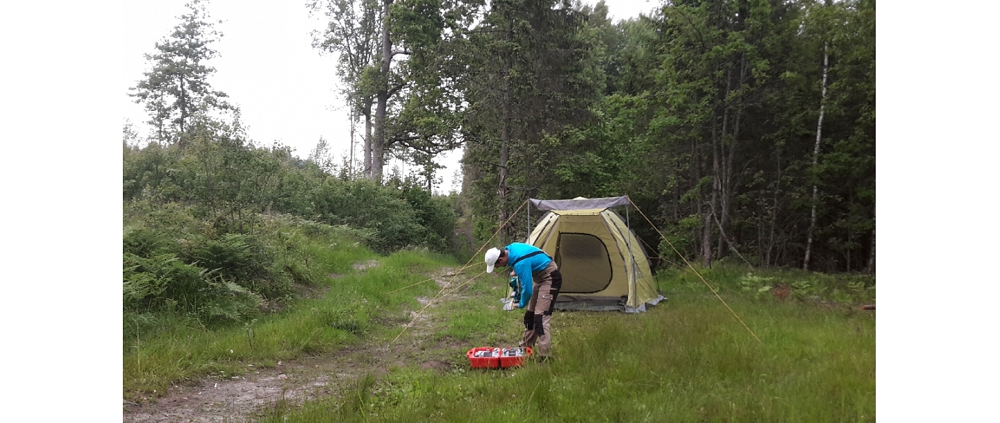 Executive measurements