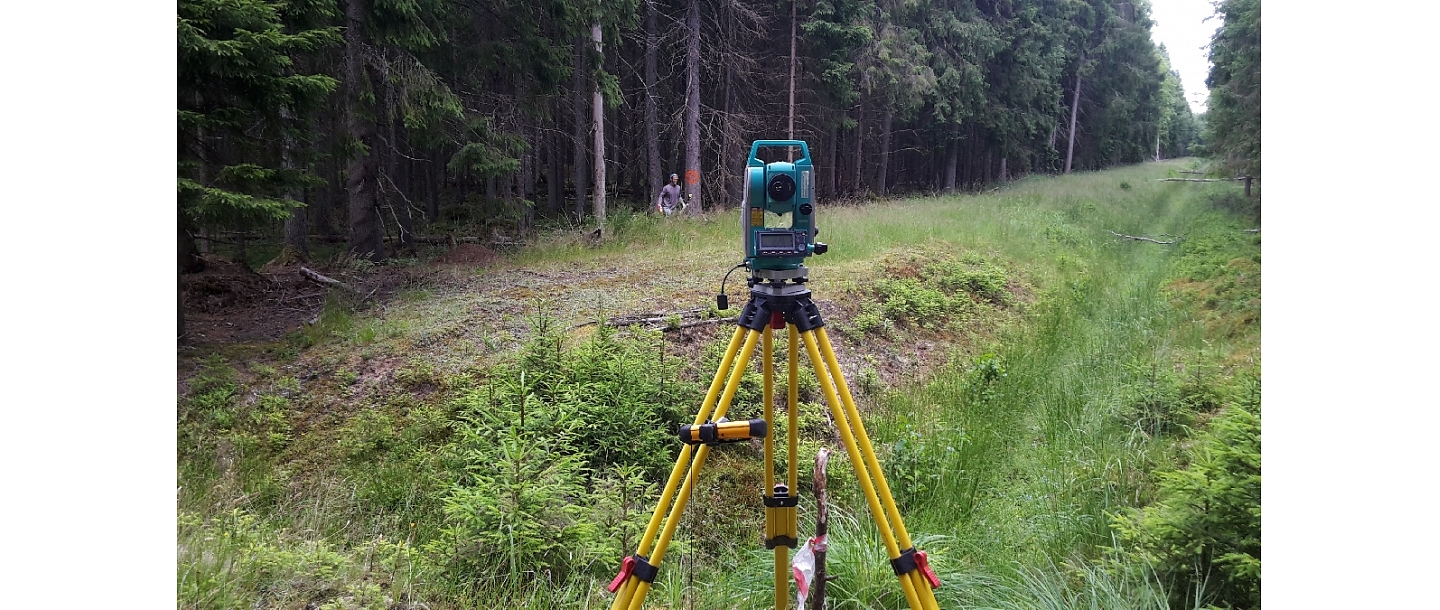 Surveying services