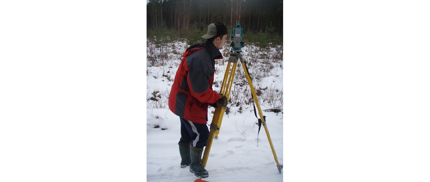 Surveying services