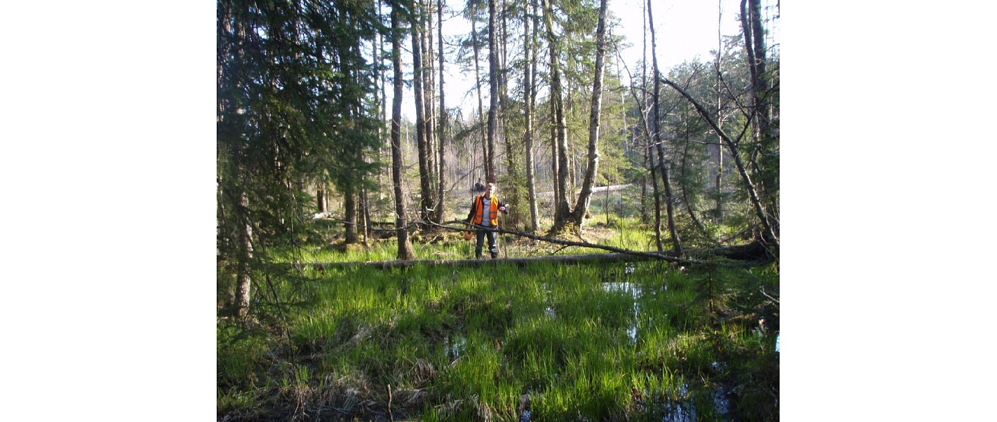Geotechnical research