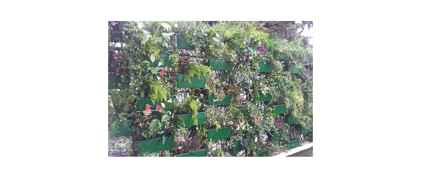 Decorative grids of green walls