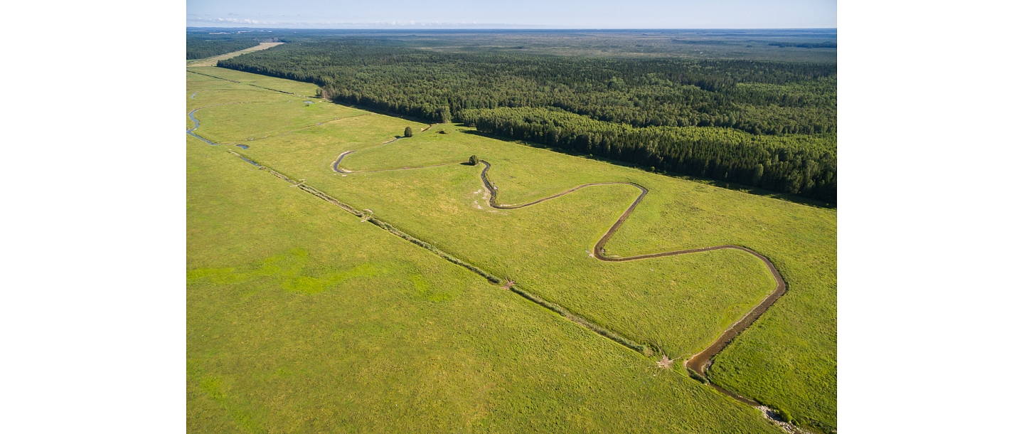 Dunduru meadows