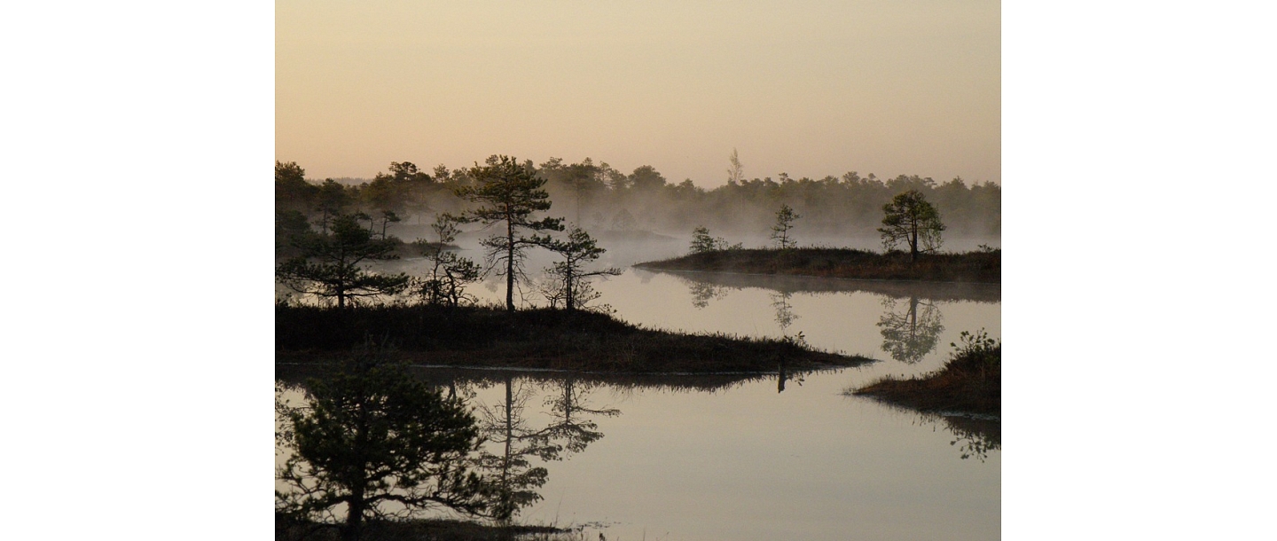 KNP Ķemeri moor