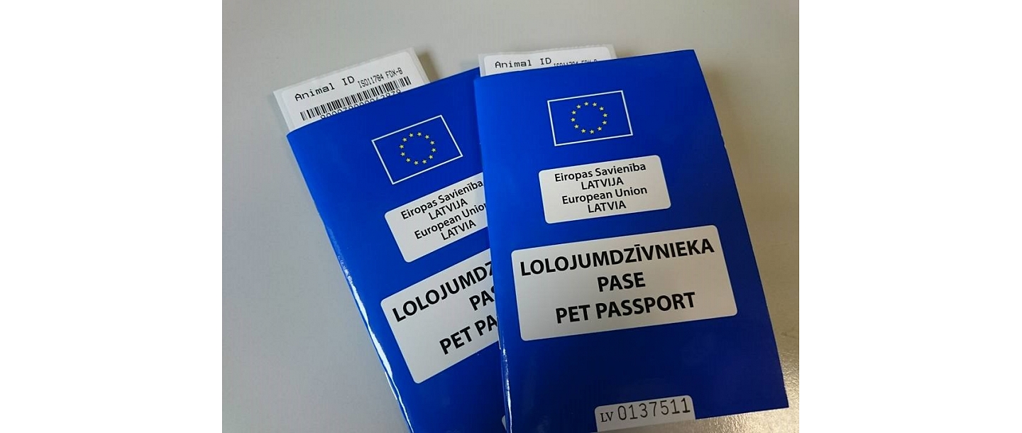 Veterinary medicine Jelgava