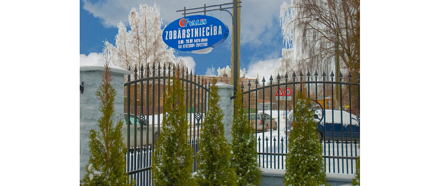 LTD &quot;Whale&quot; dental office in Pārdaugava, On Valdeķu street