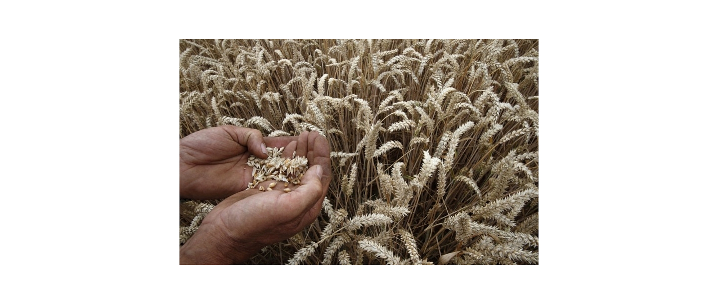 Grain processing, crop farming