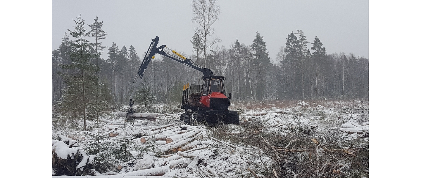 Purchase of forest property