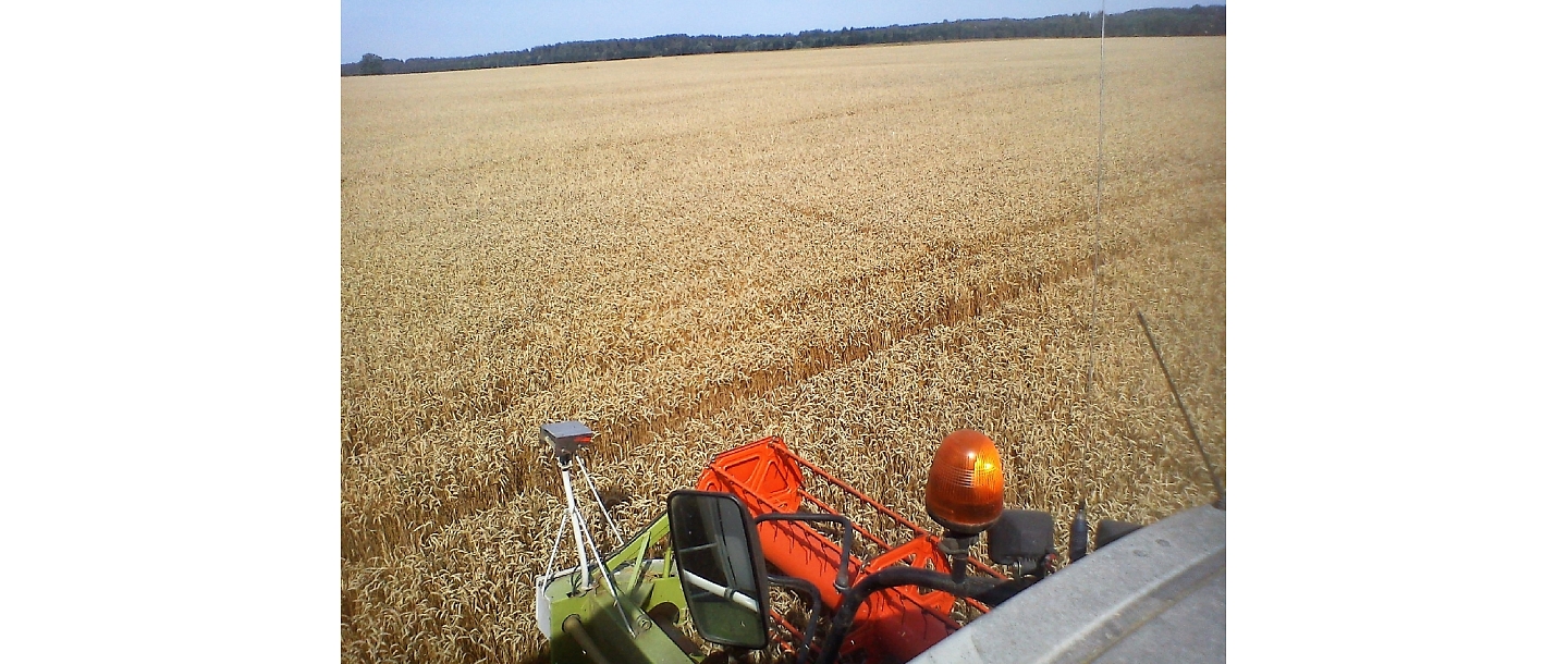 Kalnieši, растениеводство
