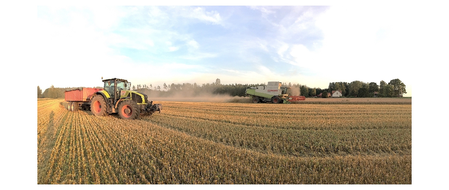 Kalnieši, crop farming
