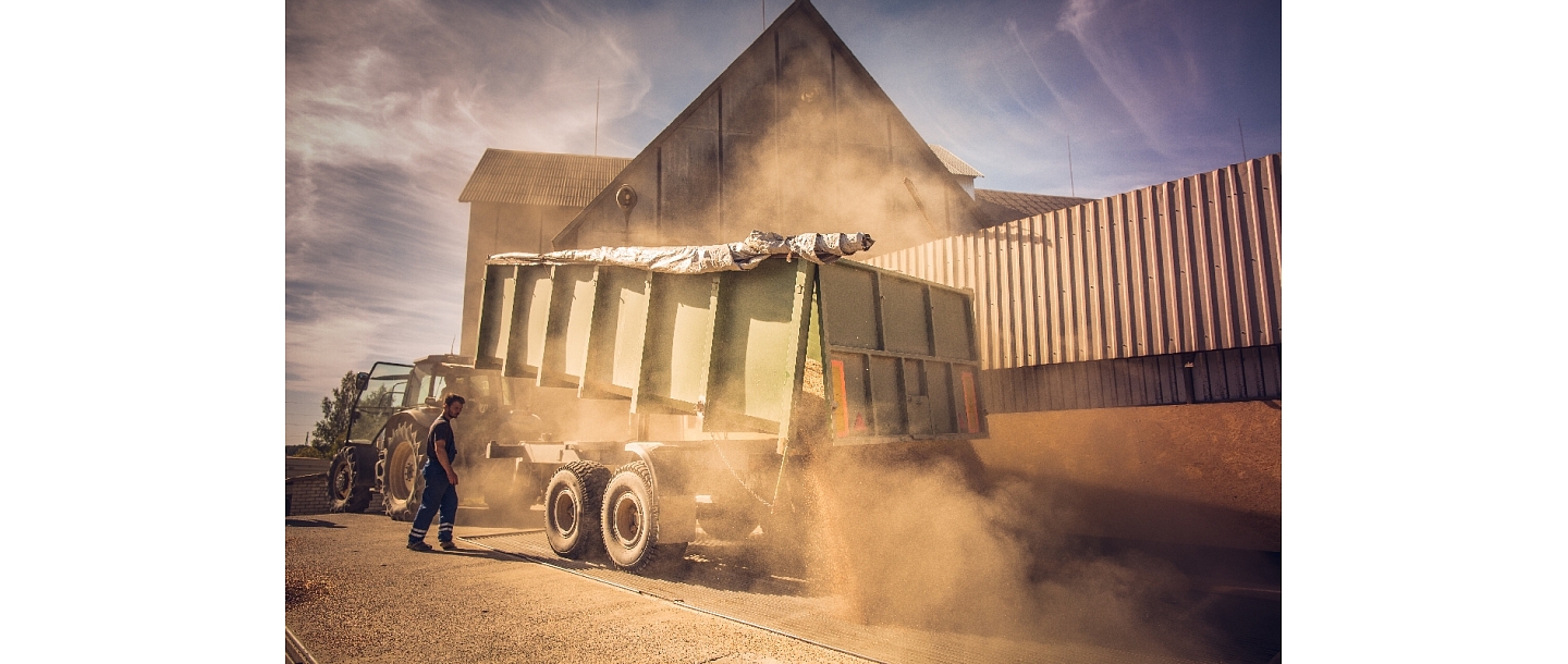 Harvesting grain