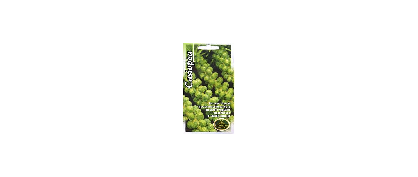 Brussels sprouts. Seed wholesale