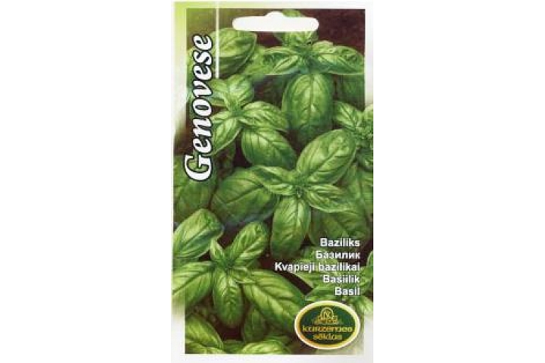Basil. Vegetable, herb, lawn seeds