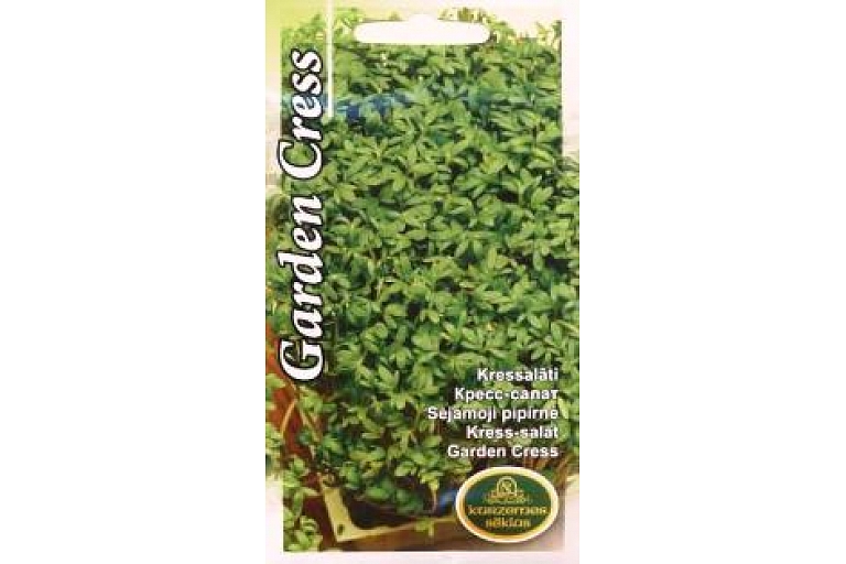 Cress. Professional seeds and seeds in small packages