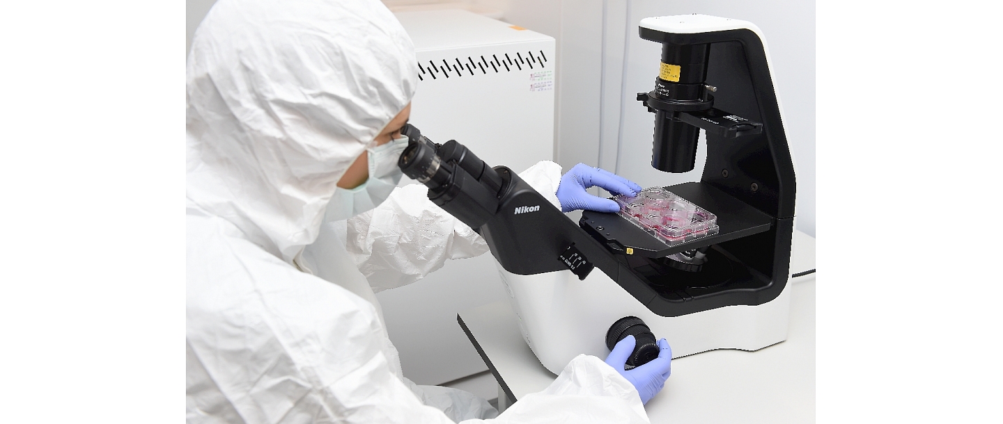 IVF Riga Stem Cell Center, sample processing