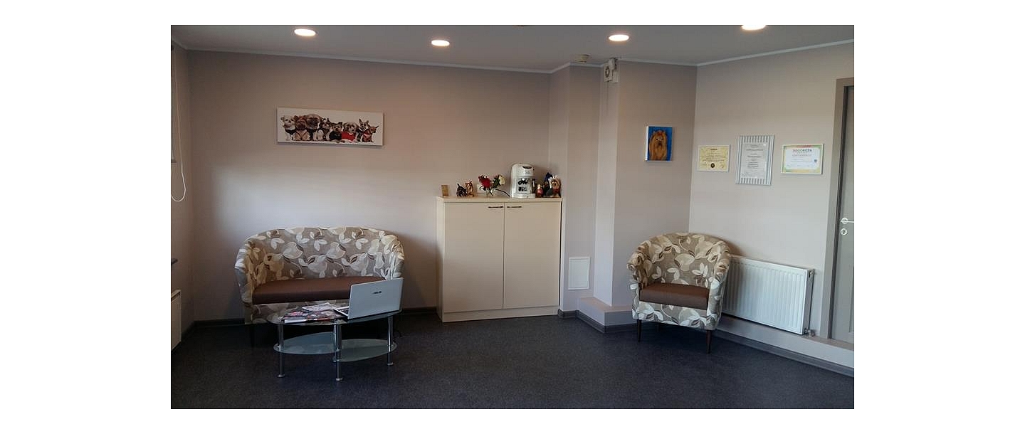 Astin, dog and cat hair salon in Liepāja
