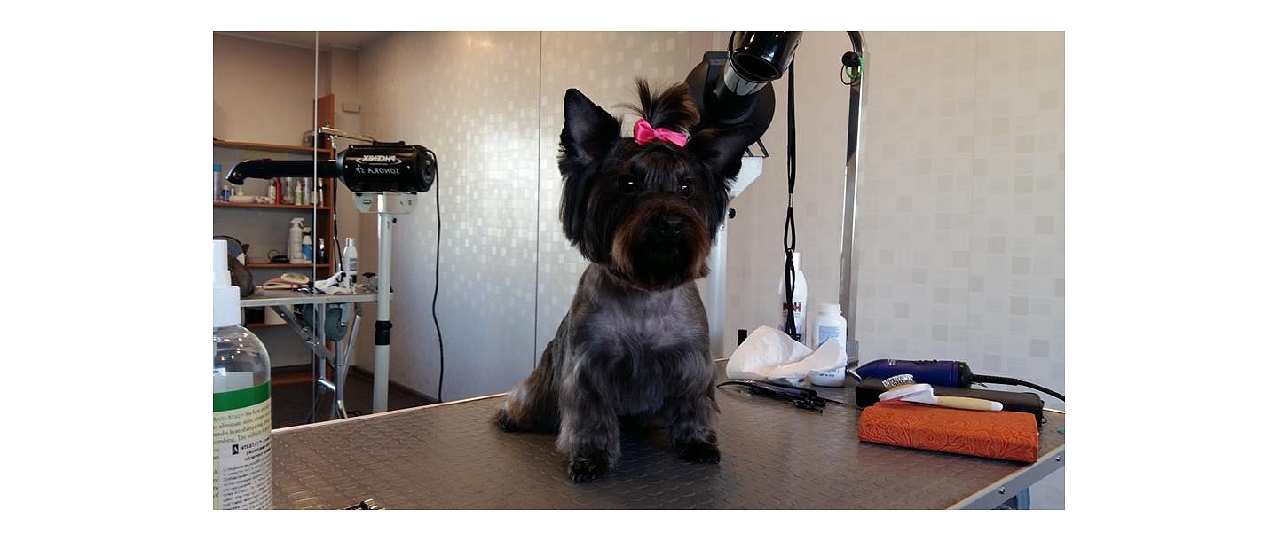 Professional cosmetics