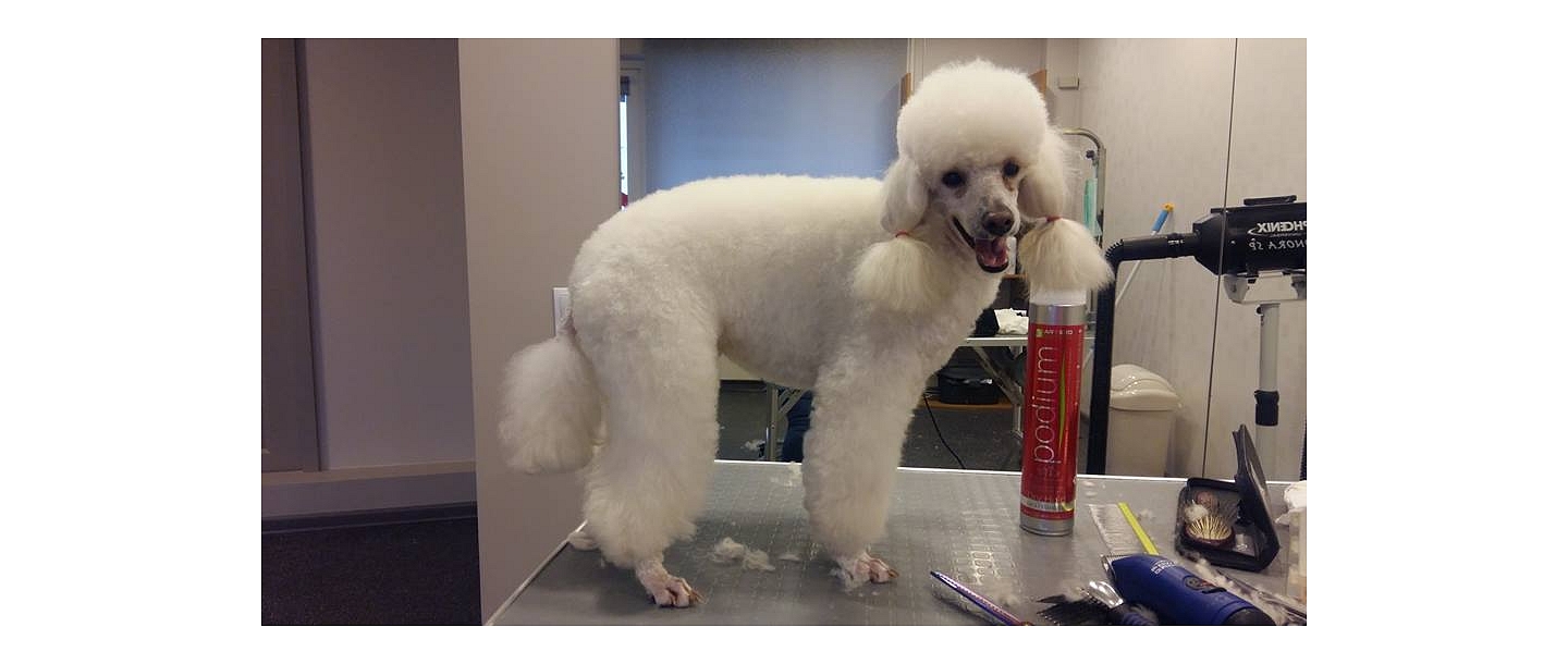 Грумер для собак и кошек