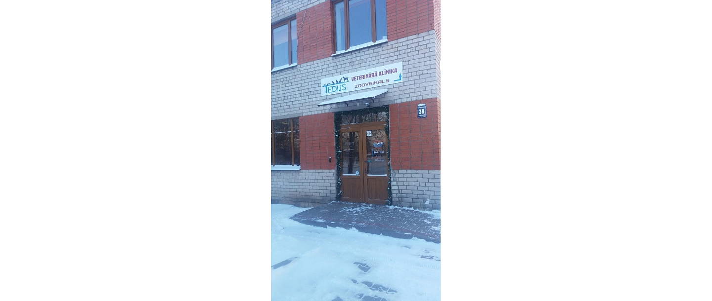 Viss nepieciešamais Jūsu mīlulim