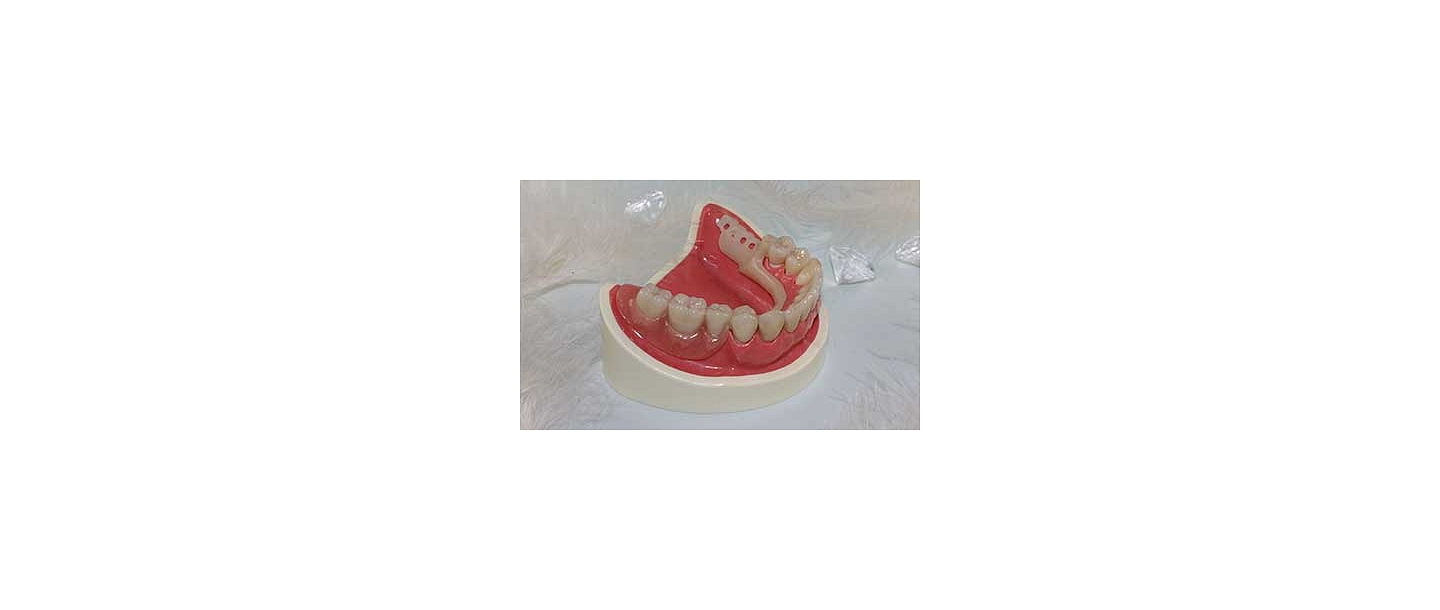Dental technician