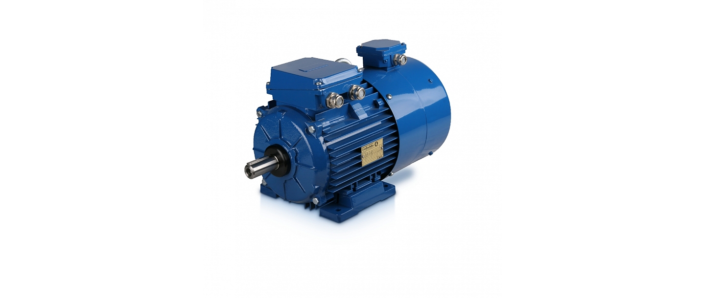 Brake motors
