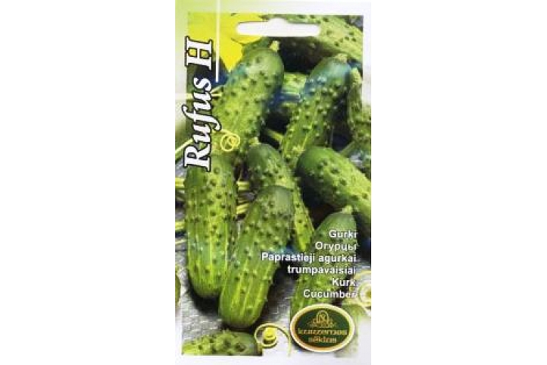 Cucumbers. Organizing seminars for gardeners