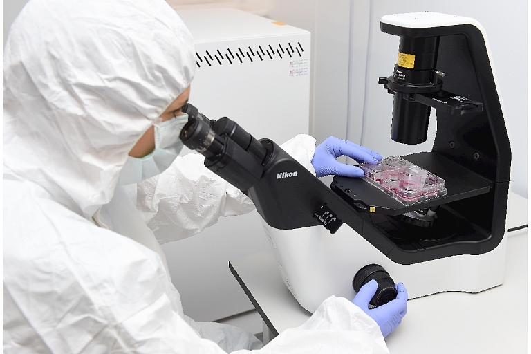 IVF Riga Stem Cell Center, sample processing
