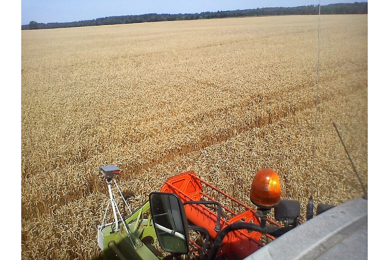 Kalnieši, растениеводство