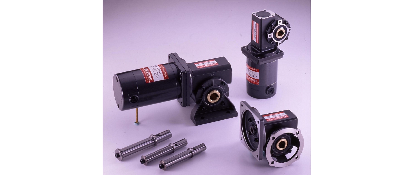 Worm Gear Motor