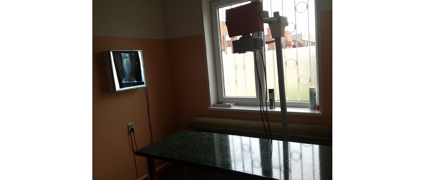 Rentgens dzīvniekiem