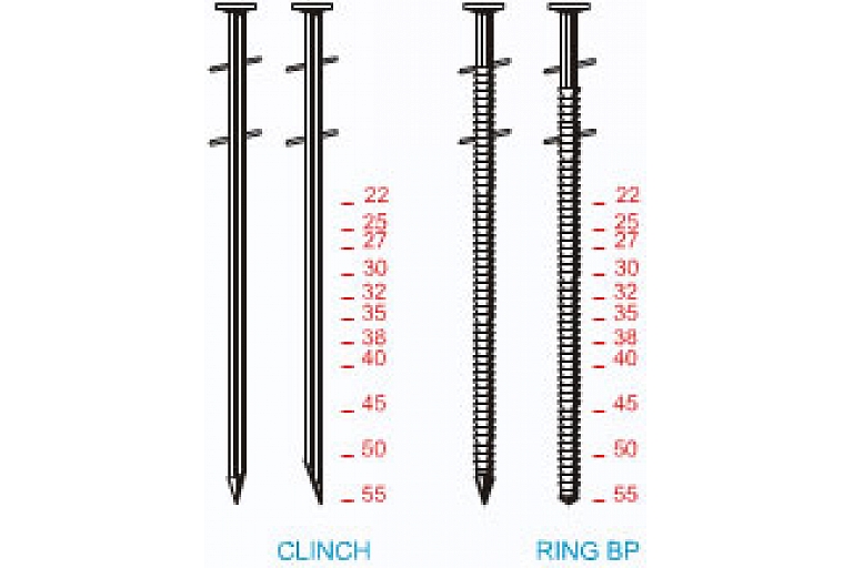 The nails of the BDC system are short