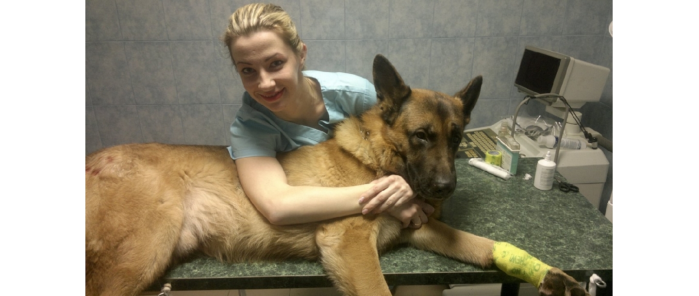 veterinārā klīnika